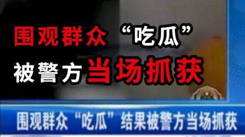 吃瓜网今日新闻,今日热点事件深度剖析